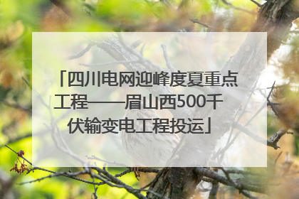 四川电网迎峰度夏重点工程——眉山西500千伏输变电工程投运