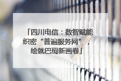 四川电信：数智赋能织密“普遍服务网”，绘就巴蜀新画卷