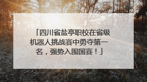 四川省盐亭职校在省级机器人挑战赛中勇夺第一名，强势入围国赛！