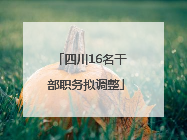 四川16名干部职务拟调整