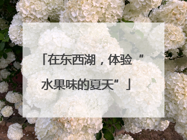 在东西湖，体验“水果味的夏天”