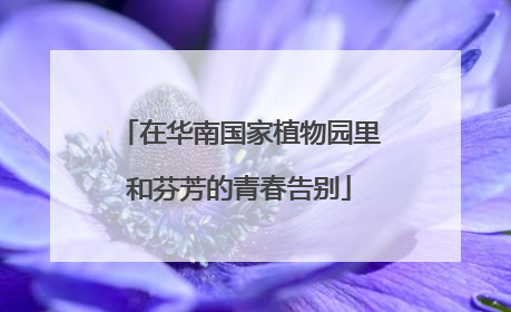 在华南国家植物园里和芬芳的青春告别