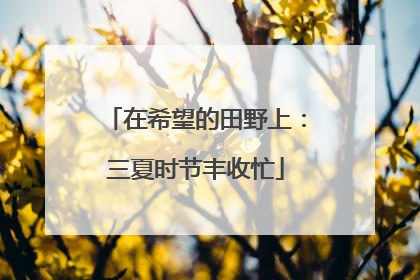 在希望的田野上：三夏时节丰收忙