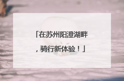 在苏州阳澄湖畔，骑行新体验！