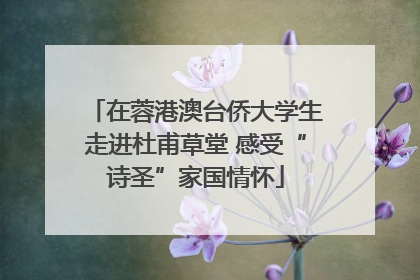 在蓉港澳台侨大学生走进杜甫草堂 感受“诗圣”家国情怀