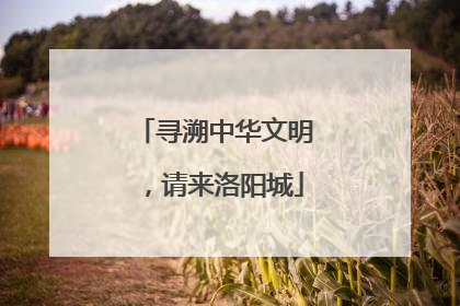 寻溯中华文明，请来洛阳城