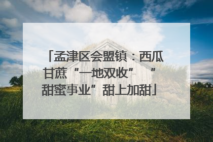 孟津区会盟镇：西瓜甘蔗“一地双收” “甜蜜事业”甜上加甜