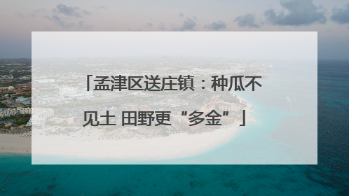 孟津区送庄镇：种瓜不见土 田野更“多金”
