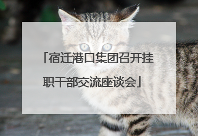 宿迁港口集团召开挂职干部交流座谈会