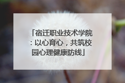 宿迁职业技术学院：以心育心，共筑校园心理健康防线
