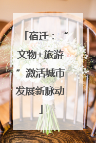 宿迁：“文物+旅游”激活城市发展新脉动