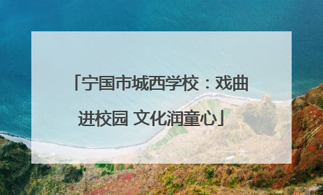 宁国市城西学校：戏曲进校园 文化润童心