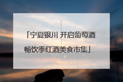 宁夏银川 开启葡萄酒畅饮季红酒美食市集