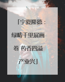 宁夏隆德：绿畴千里展画卷 药香四溢产业兴