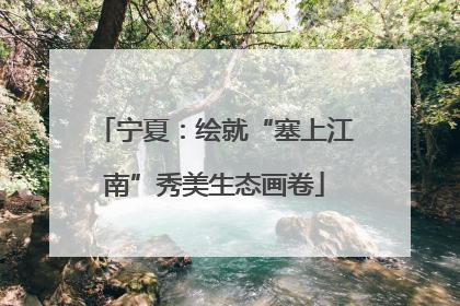 宁夏：绘就“塞上江南”秀美生态画卷