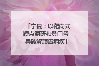 宁夏：以靶向式蹲点调研和登门督导破解顽瘴痼疾