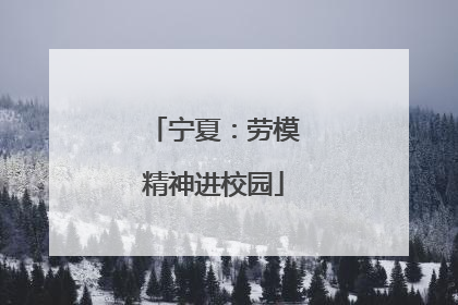 宁夏：劳模精神进校园