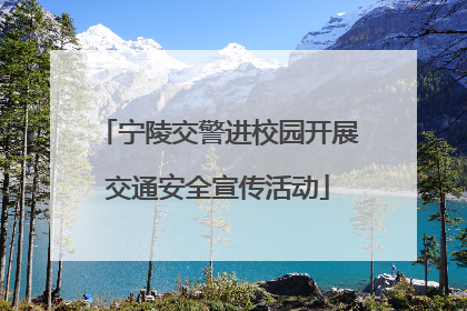 宁陵交警进校园开展交通安全宣传活动