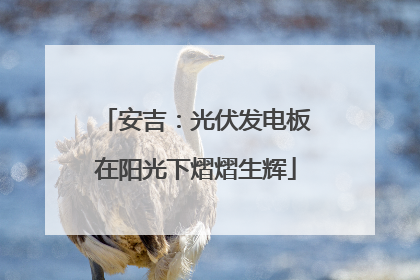 安吉：光伏发电板在阳光下熠熠生辉
