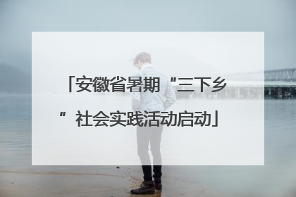 安徽省暑期“三下乡”社会实践活动启动