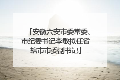 安徽六安市委常委、市纪委书记李敏拟任省辖市市委副书记