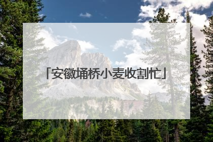 安徽埇桥小麦收割忙