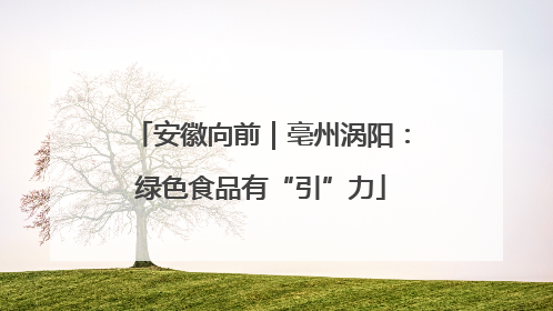安徽向前｜亳州涡阳：绿色食品有“引”力