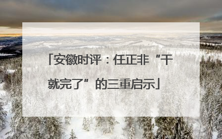 安徽时评：任正非“干就完了”的三重启示