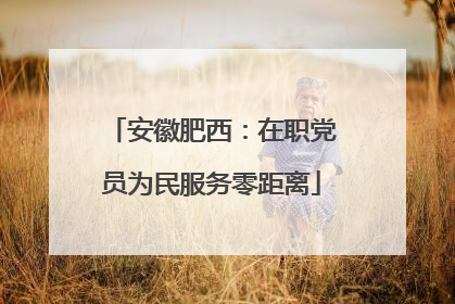安徽肥西：在职党员为民服务零距离
