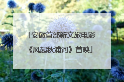 安徽首部新文旅电影《风起秋浦河》首映