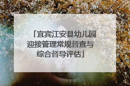 宜宾江安县幼儿园迎接管理常规督查与综合督导评估