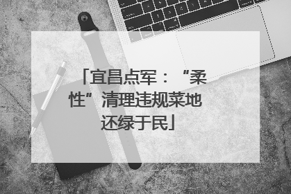 宜昌点军：“柔性”清理违规菜地 还绿于民