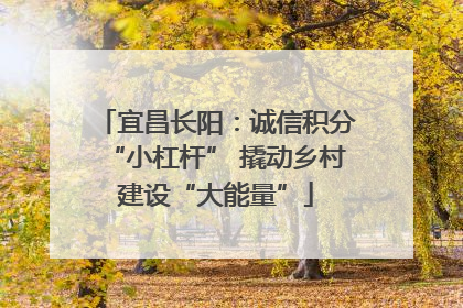 宜昌长阳：诚信积分“小杠杆” 撬动乡村建设“大能量”