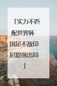 实力不匹配世界杯 国足不敌印尼提前出局