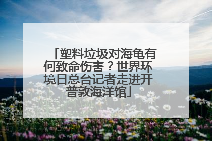 塑料垃圾对海龟有何致命伤害？世界环境日总台记者走进开普敦海洋馆