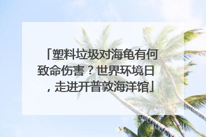 塑料垃圾对海龟有何致命伤害？世界环境日，走进开普敦海洋馆