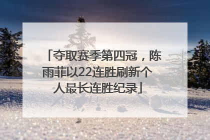 夺取赛季第四冠，陈雨菲以22连胜刷新个人最长连胜纪录