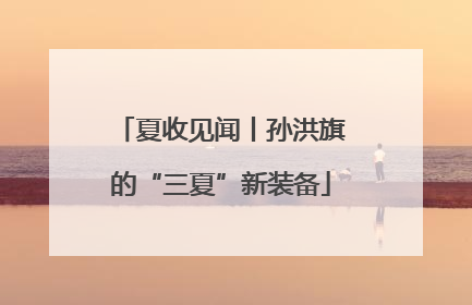 夏收见闻丨孙洪旗的“三夏”新装备