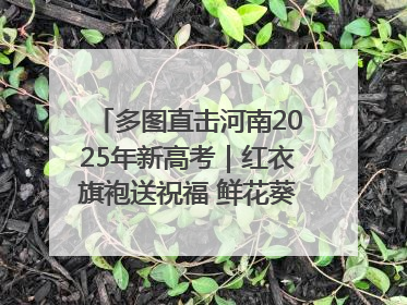 多图直击河南2025年新高考｜红衣旗袍送祝福 鲜花葵花助梦圆——尉氏县高考暖心送考