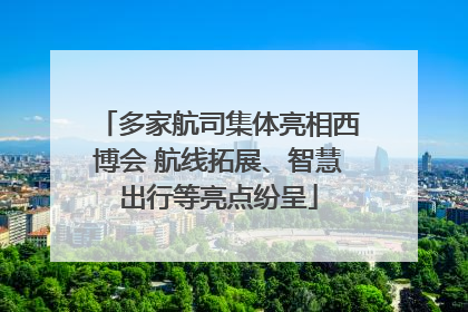 多家航司集体亮相西博会 航线拓展、智慧出行等亮点纷呈