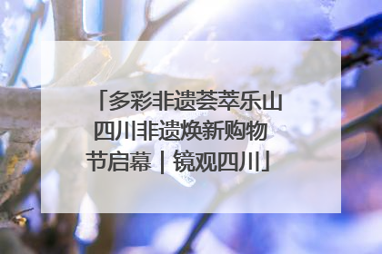 多彩非遗荟萃乐山 四川非遗焕新购物节启幕｜镜观四川