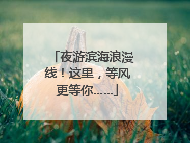夜游滨海浪漫线！这里，等风更等你……