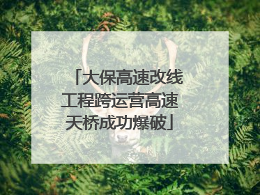 大保高速改线工程跨运营高速天桥成功爆破
