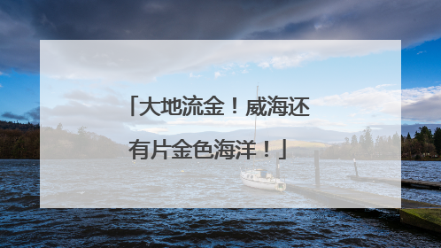 大地流金！威海还有片金色海洋！