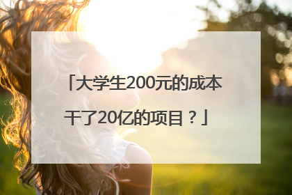 大学生200元的成本干了20亿的项目？