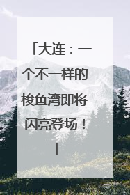 大连：一个不一样的梭鱼湾即将闪亮登场！