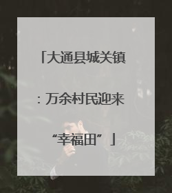 大通县城关镇：万余村民迎来“幸福田”