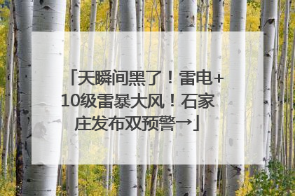 天瞬间黑了！雷电+10级雷暴大风！石家庄发布双预警→