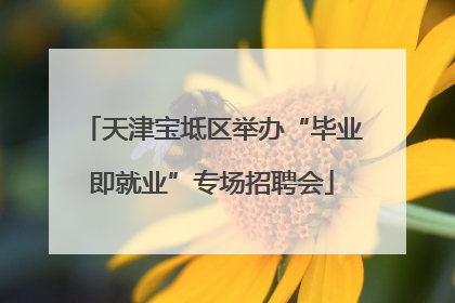 天津宝坻区举办“毕业即就业”专场招聘会