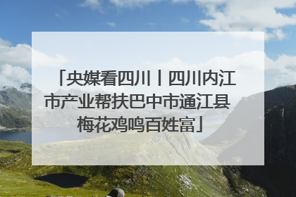 央媒看四川丨四川内江市产业帮扶巴中市通江县 梅花鸡鸣百姓富